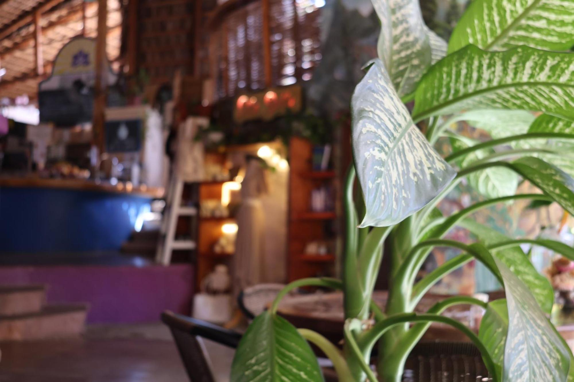 Posada Del Molino Todos Santos Buitenkant foto